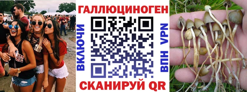 Галлюциногенные грибы GOLDEN TEACHER  Андреаполь 